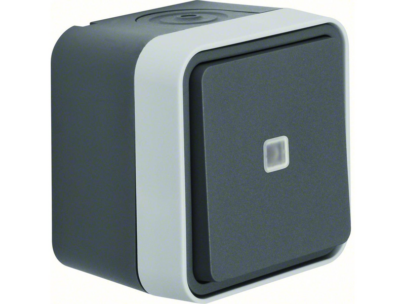 Berker Illuminated change over switch lens grey w1