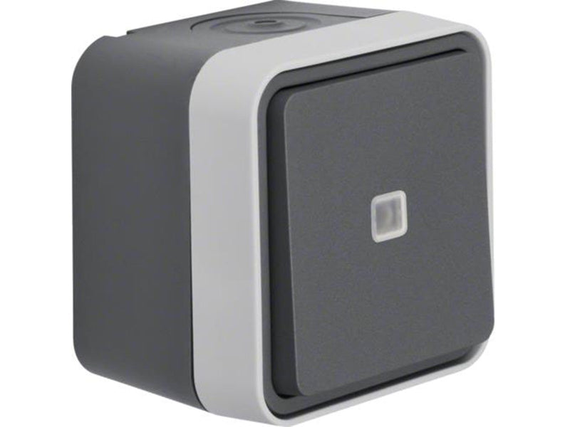 Berker Illuminated change over switch lens grey w1