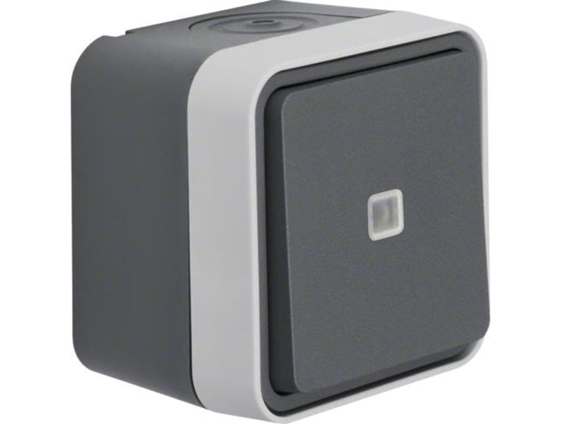 Berker Illuminated change over switch lens grey w1