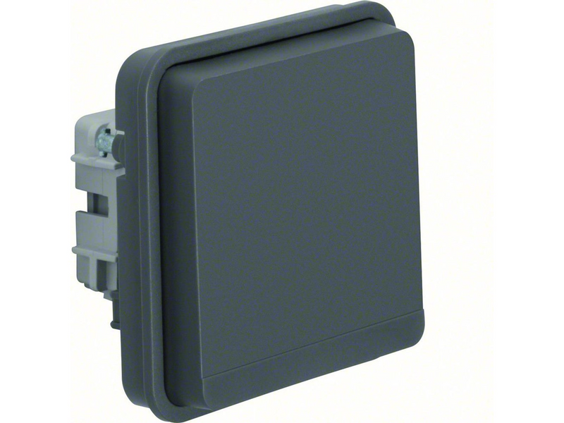 Berker Schuko scoket outlet insert with hinged cover