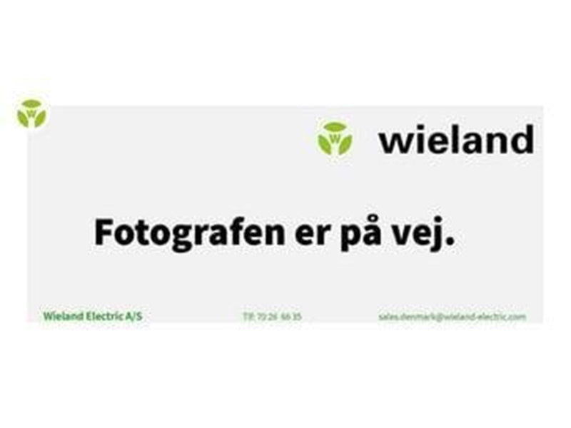 Wieland Rst25i3 plug male 3-pol 250v/32a 0.75-6mm2 ø13-18mm grey