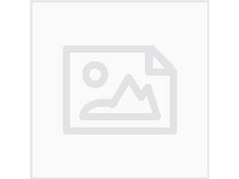 Schneider Electric Pilot light head