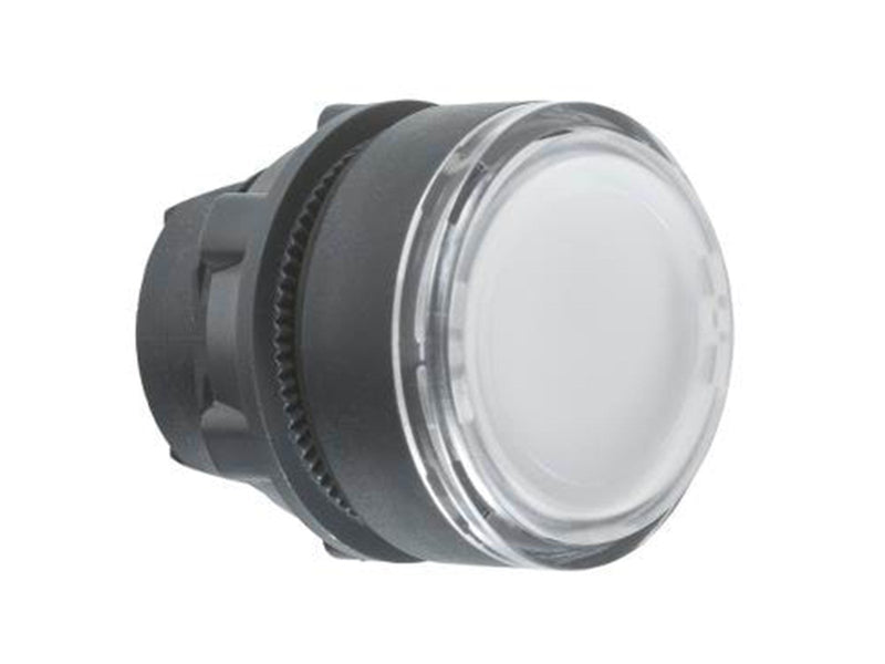 Schneider Electric Pushbutton operator head