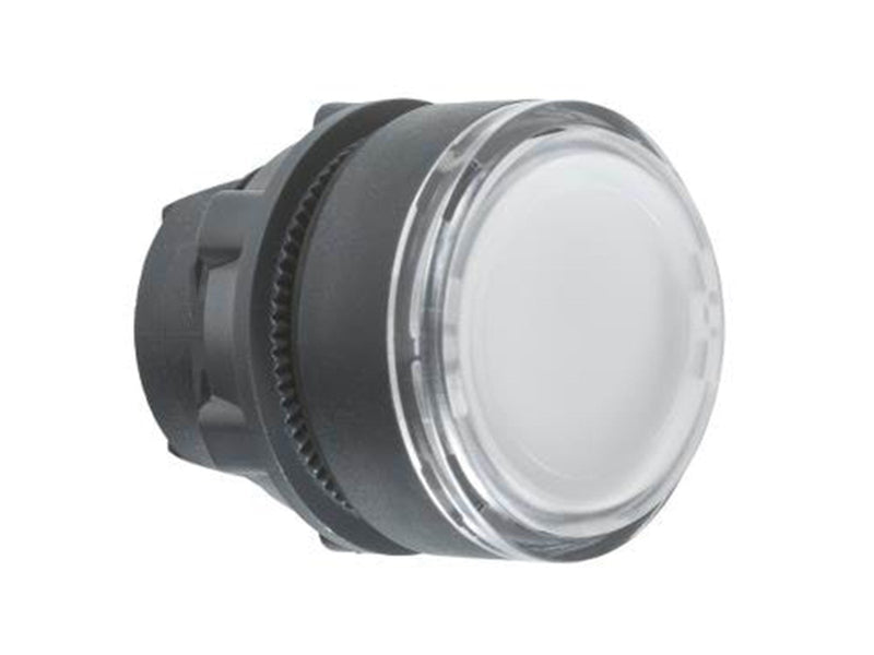 Schneider Electric Pushbutton operator head