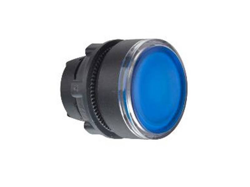 Schneider Electric Illuminated pushbutton head