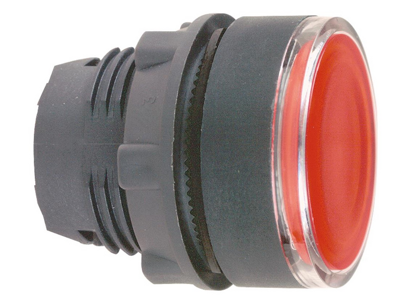 Schneider Electric Illuminated pushbutton head