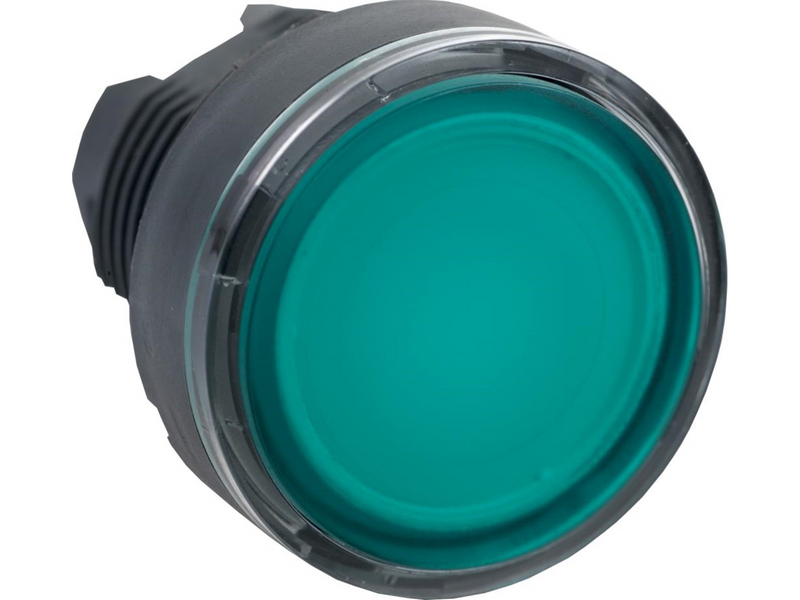 Schneider Electric Illuminated pushbutton head