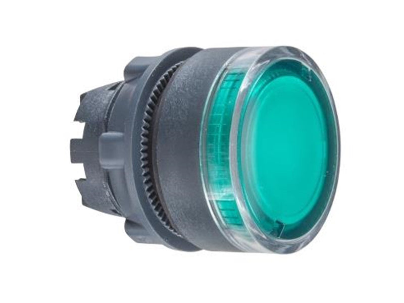 Schneider Electric Illuminated pushbutton head