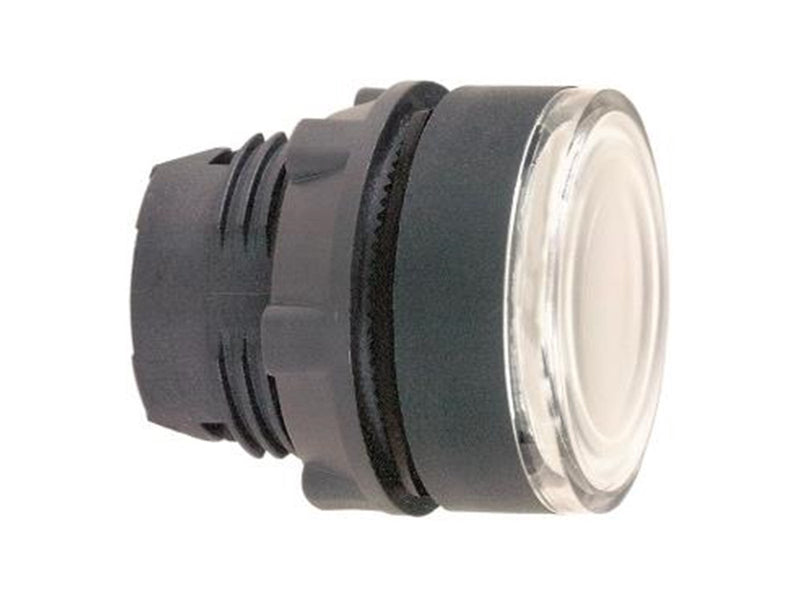 Schneider Electric Illuminated pushbutton head