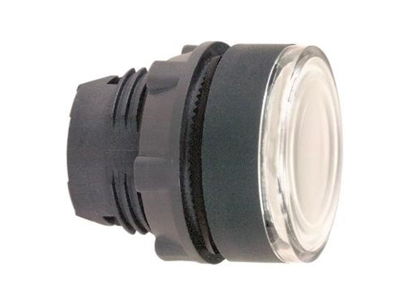 Schneider Electric Illuminated pushbutton head