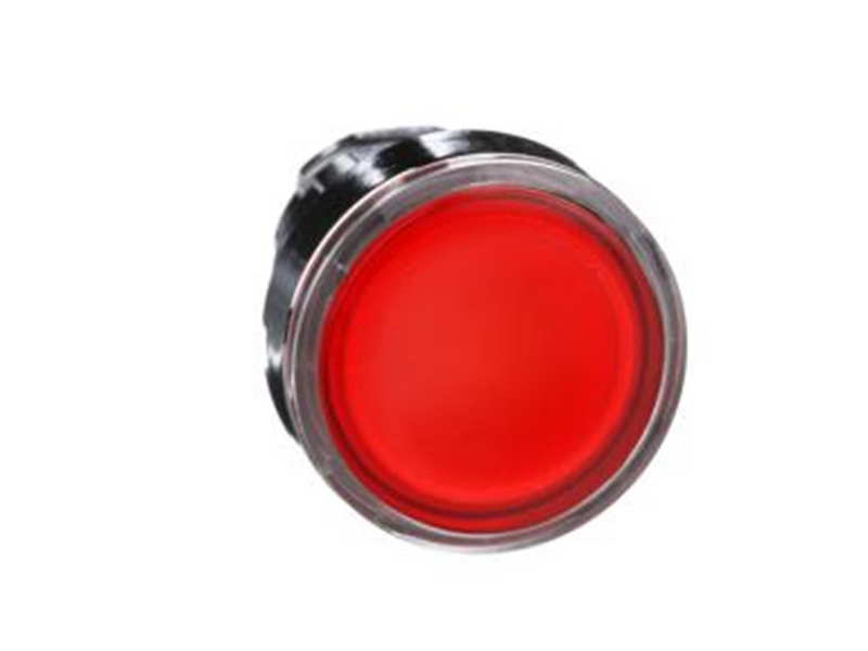 Schneider Electric Illuminated pushbutton head