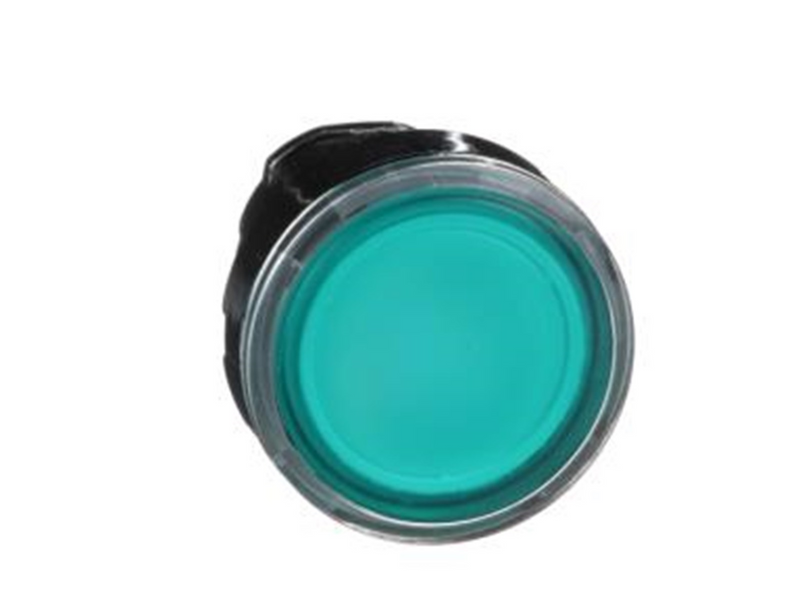 Schneider Electric Illuminated pushbutton head