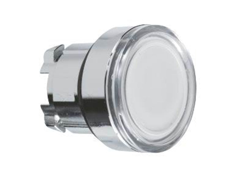 Schneider Electric Illuminated pushbutton head