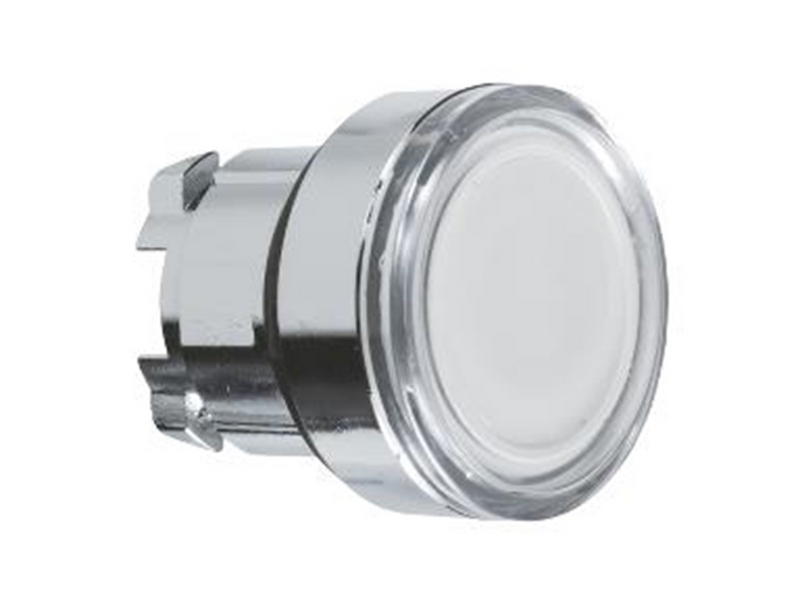 Schneider Electric Illuminated pushbutton head