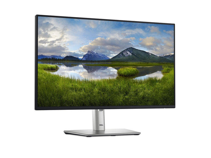 24" Dell P2425H - 1920x1080 (FHD) - 100Hz - IPS - 15W USB-C