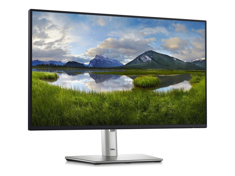 24" Dell P2425H - 1920x1080 (FHD) - 100Hz - IPS - 15W USB-C