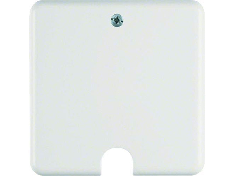 Berker Electric range connection polar white
