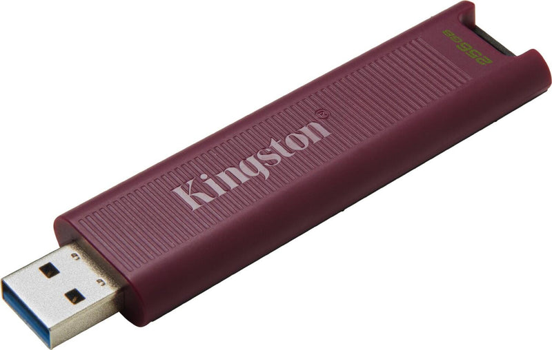 Kingston DataTraveler Max 256GB