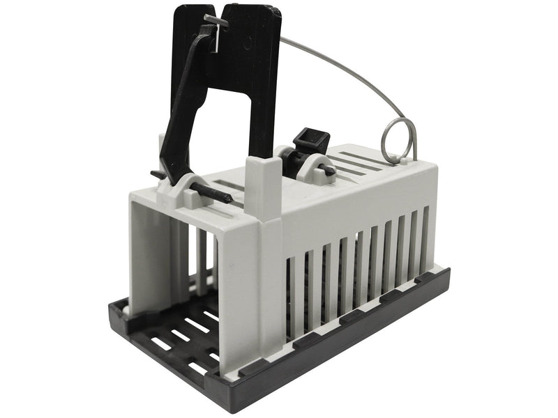 Greenit Giljotti rat trap