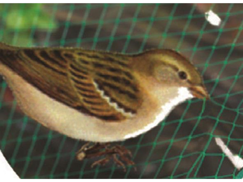 Greenit Anti Bird net 2 x 5m