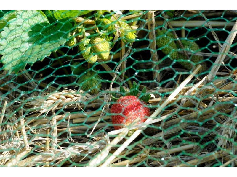 Greenit Anti Bird net 2 x 5m