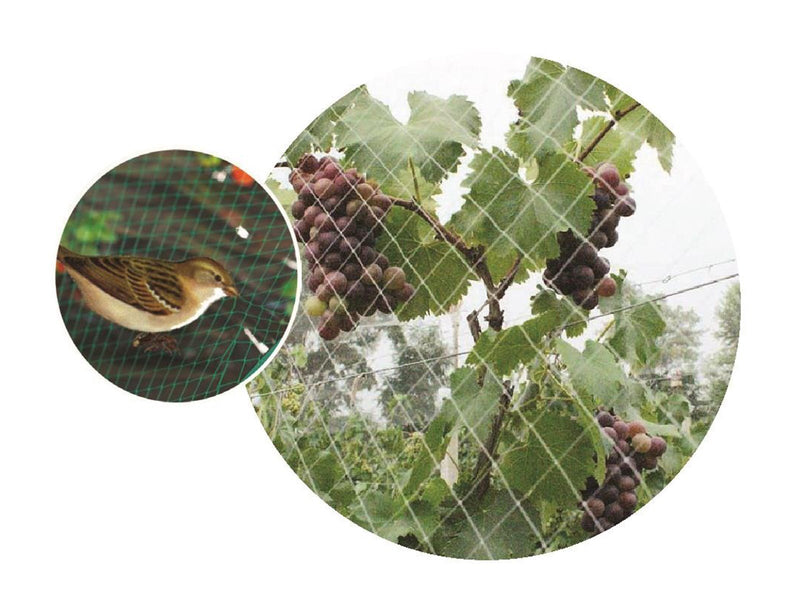 Greenit Anti Bird net 2 x 10m