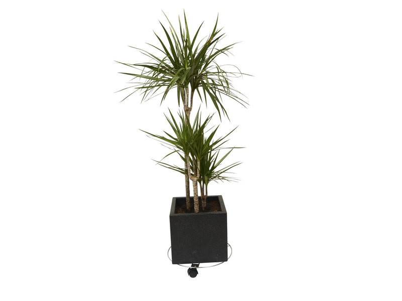 Greenit Trolley – galvanised