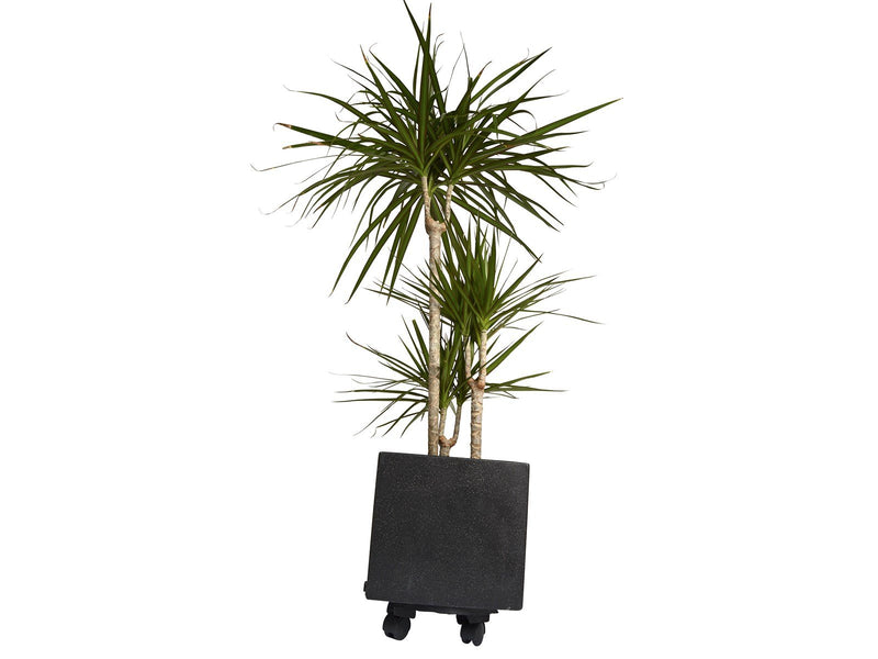 Greenit Trolley - black wood