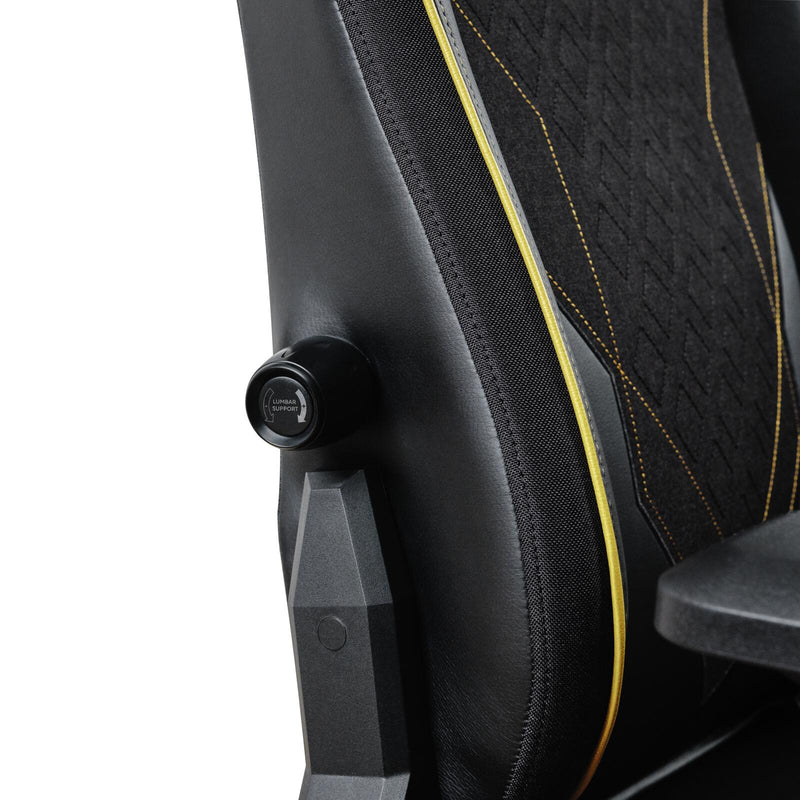 Trust Gaming GXT 721 Ruya Pro Komfortabler Premium-Gaming-Stuhl - Schwarz