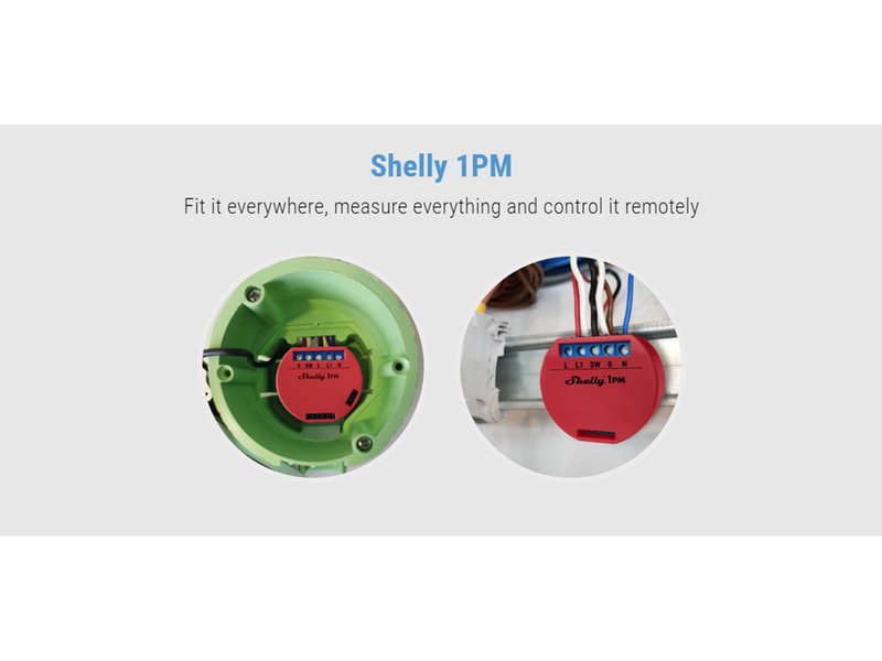 Shelly 1PM