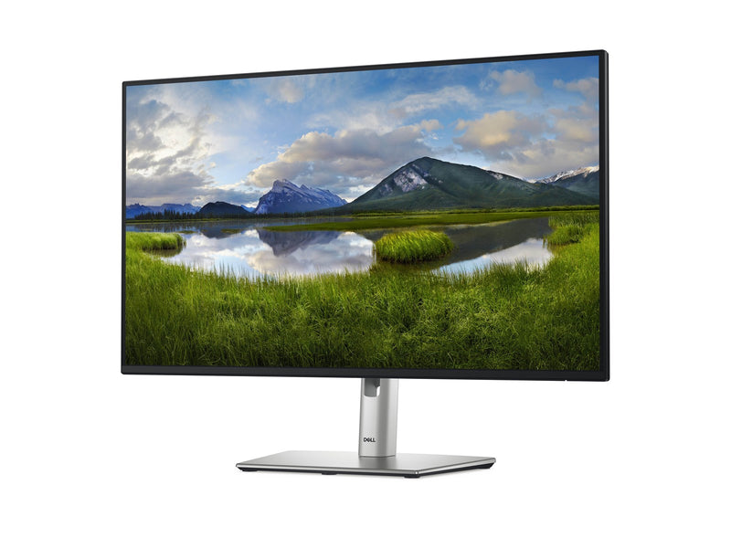 27" Dell P2725H - 1920x1080 (FHD) - 100Hz - IPS - 15W USB-C