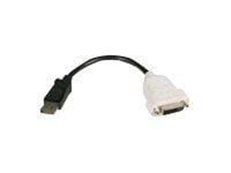Lenovo DisplayPort to Single-Link DVI