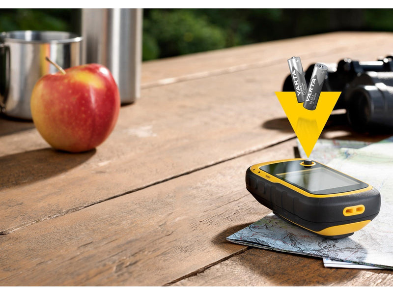 VARTA Professional Batterie