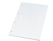 Bantex Standard Pad A4 Squared Punched