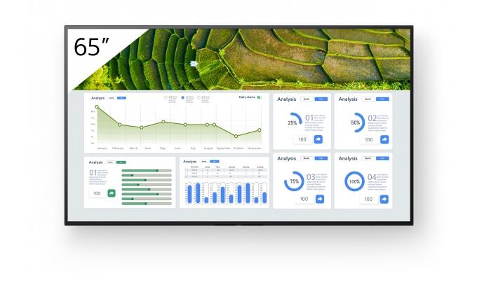 Sony Bravia FW-65BZ30L Professional Display 165cm (65')