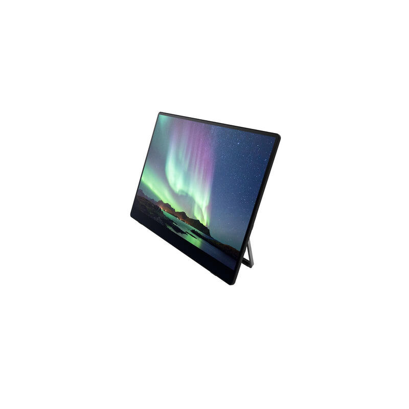 Ricoh 150BW mobiler Multi-Touch Monitor 39,60cm (15,6')
