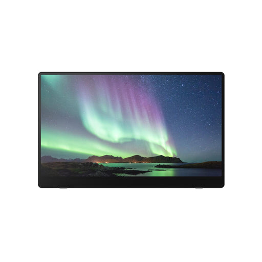 Ricoh 150 mobiler Multi-Touch Monitor 39,60cm (15,6')