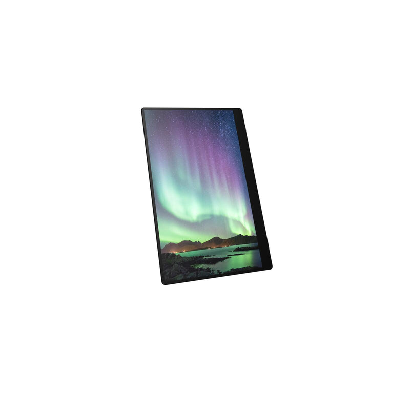 Ricoh 150 mobiler Multi-Touch Monitor 39,60cm (15,6')