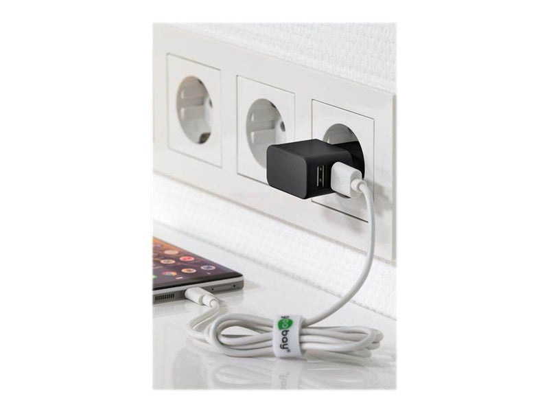 Goobay Dual USB charger 2.4 A (12W) black