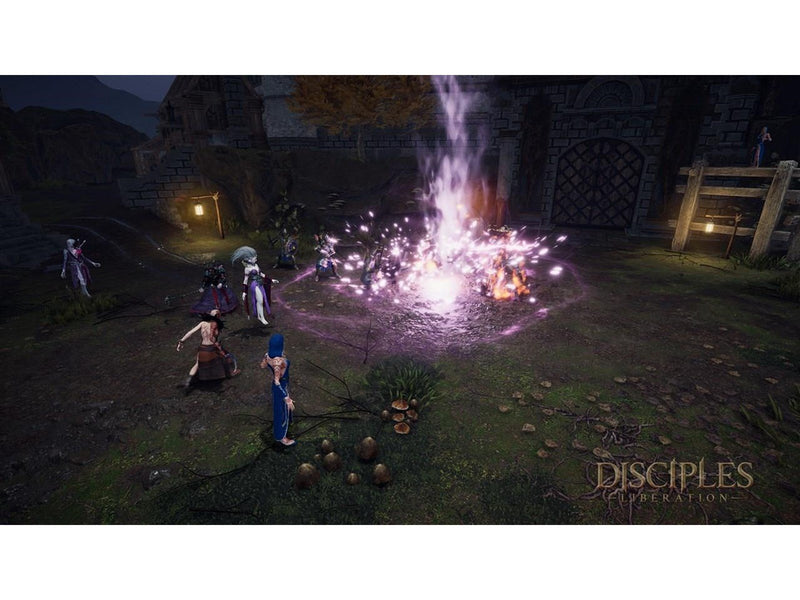 Disciples: Liberation (Deluxe Edition) - Sony PlayStation 4 - RPG - PEGI 12
