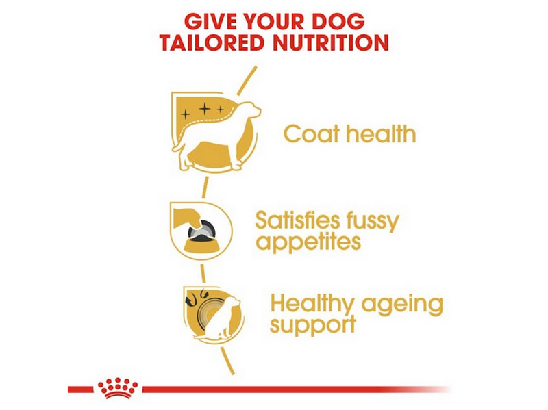Royal Canin Yorkshire Terrier Adult 3kg