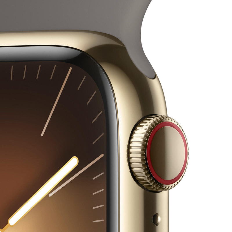 Apple Watch Series 9 (GPS + Cellular) 45mm Edelstahlgehäuse gold, Sportband grau M/L