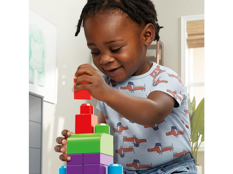 MEGA BLOKS First Builders Big Building Bag