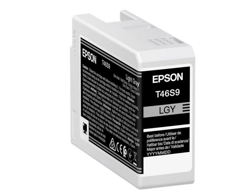Epson Singlepack Light Gray T46S9 UltraChrome Pro