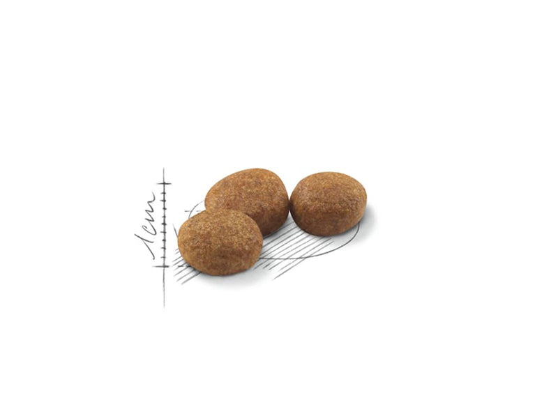 Royal Canin Sterilised 37 10kg