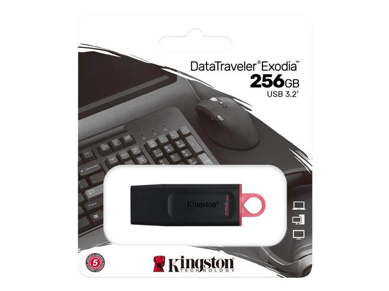 Kingston DataTraveler Exodia - 256GB - USB-Stick