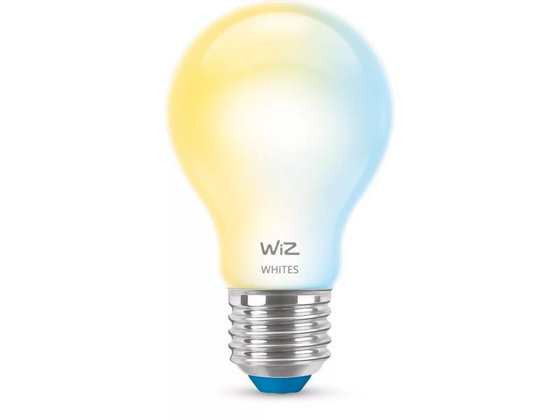 WiZ Standard E27 bulb frosted glass