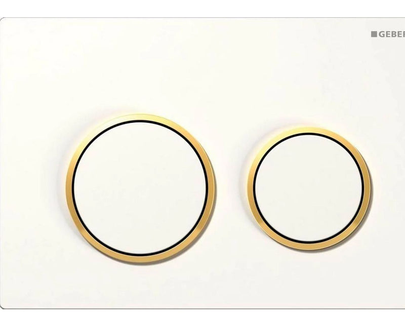 Geberit actuator plate omega20 for dual flush: white / gold