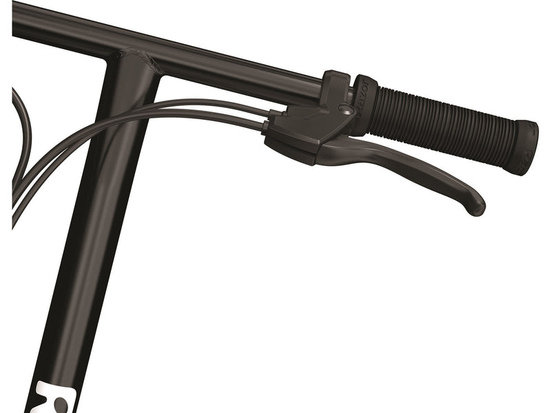 Razor EcoSmart SUP UK - Black (25 km/h)