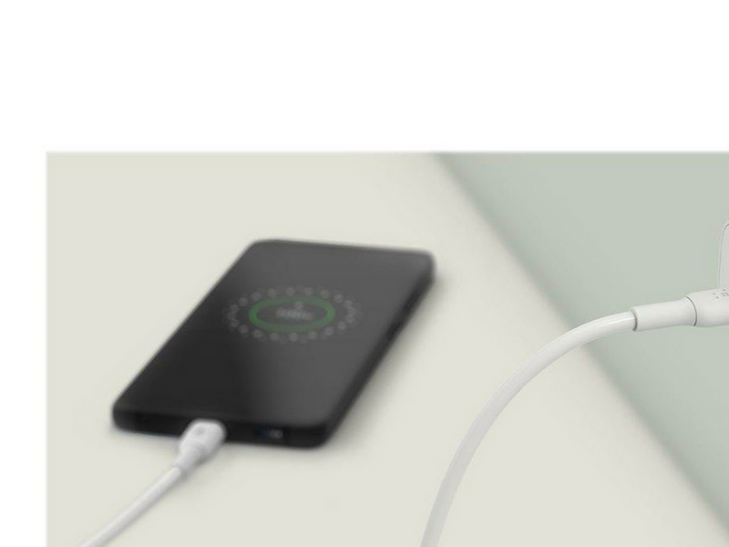 Belkin BoostCharge USB-C PD 3.0 PPS Wall Charger 25W - White